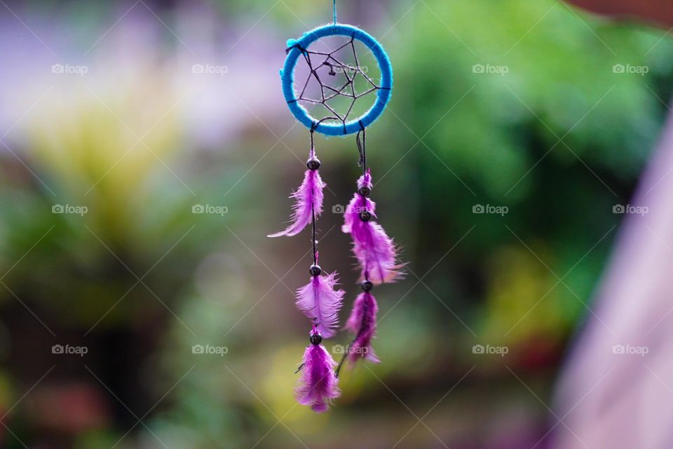 Editor’s choice. Photo of the week 