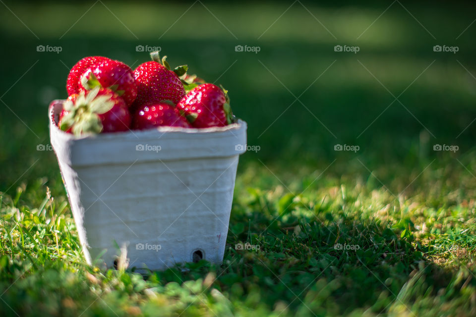 strawberries in a box.