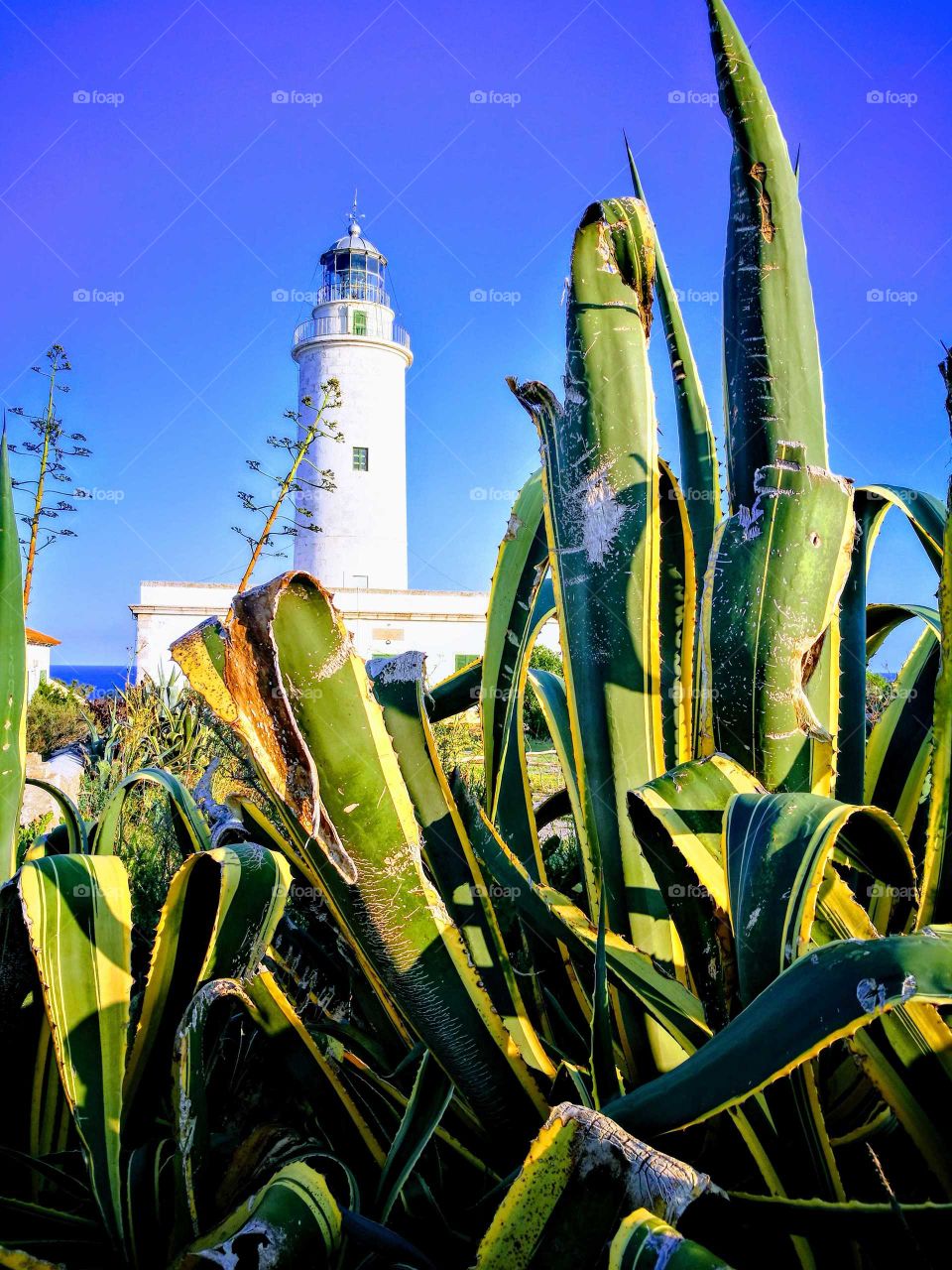 ibiza lighthouse