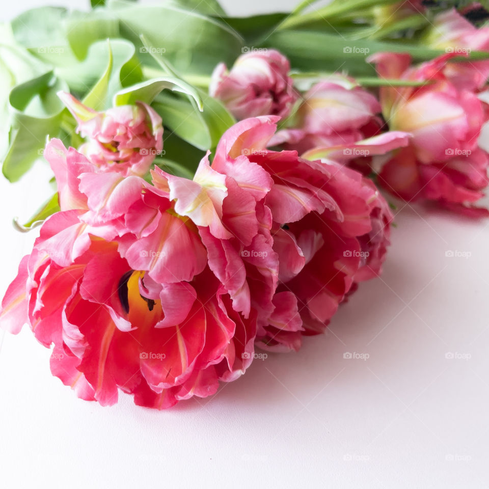 Flowers are irresistibly beautiful 