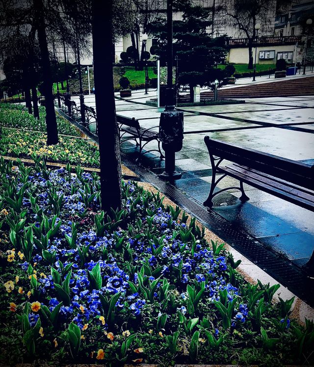 Spring in city