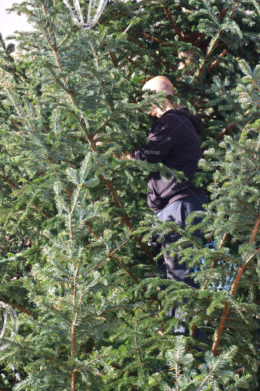 Decorating Christmas tree