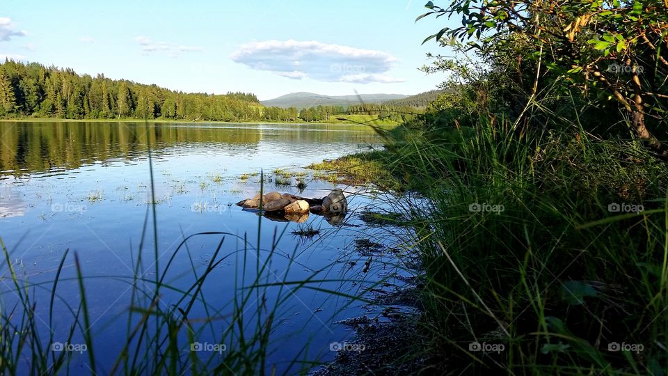 Calm river!. Calm river in the light of the sunset!