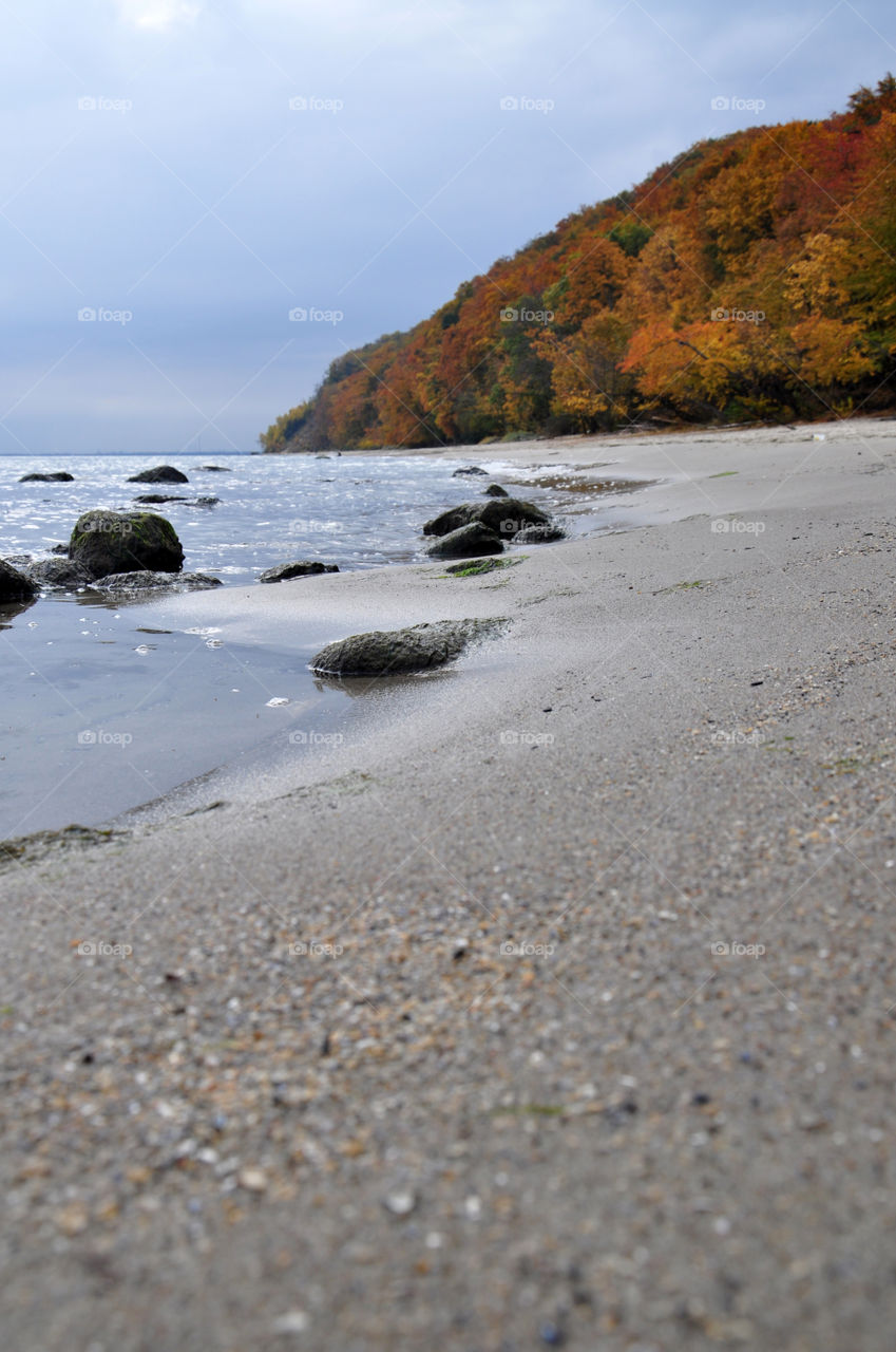 Scenic view of beach during autumn