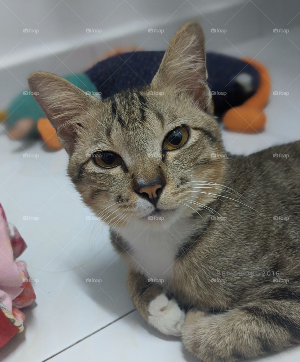 Great pose for my Redmi pro