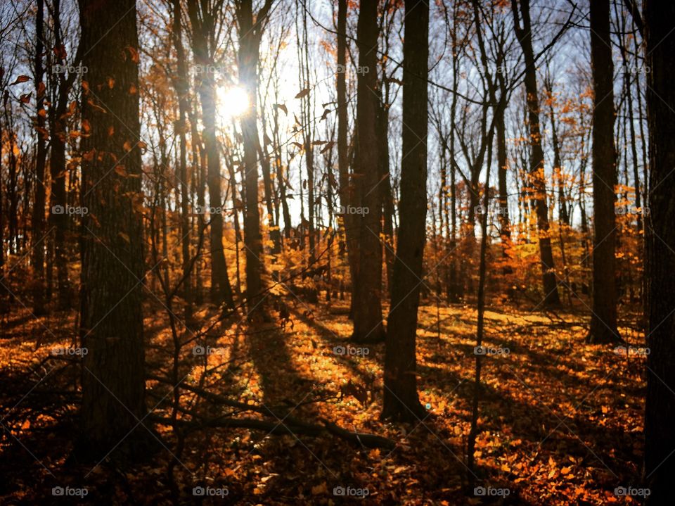 Follow the light🌞