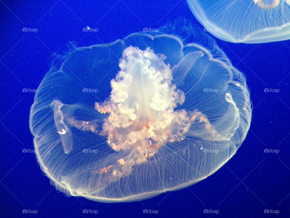 people nature travel color by itsAus