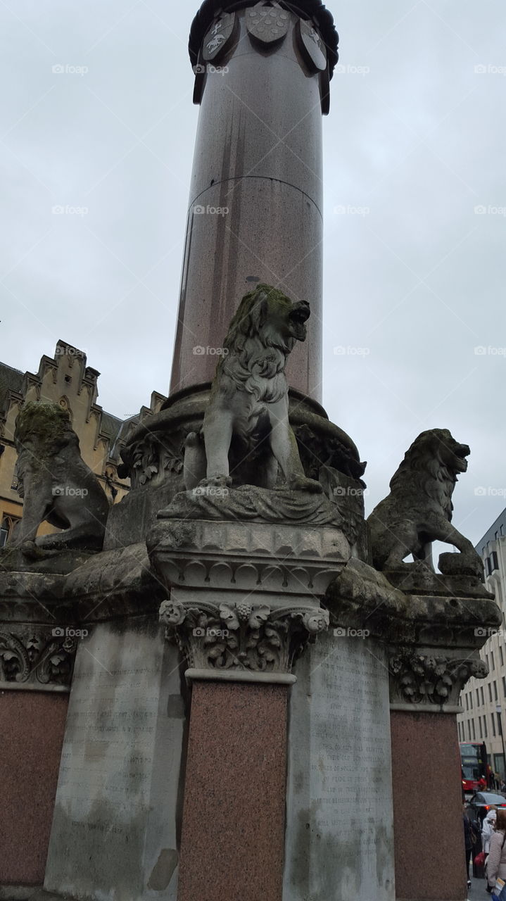 Lions in Stone