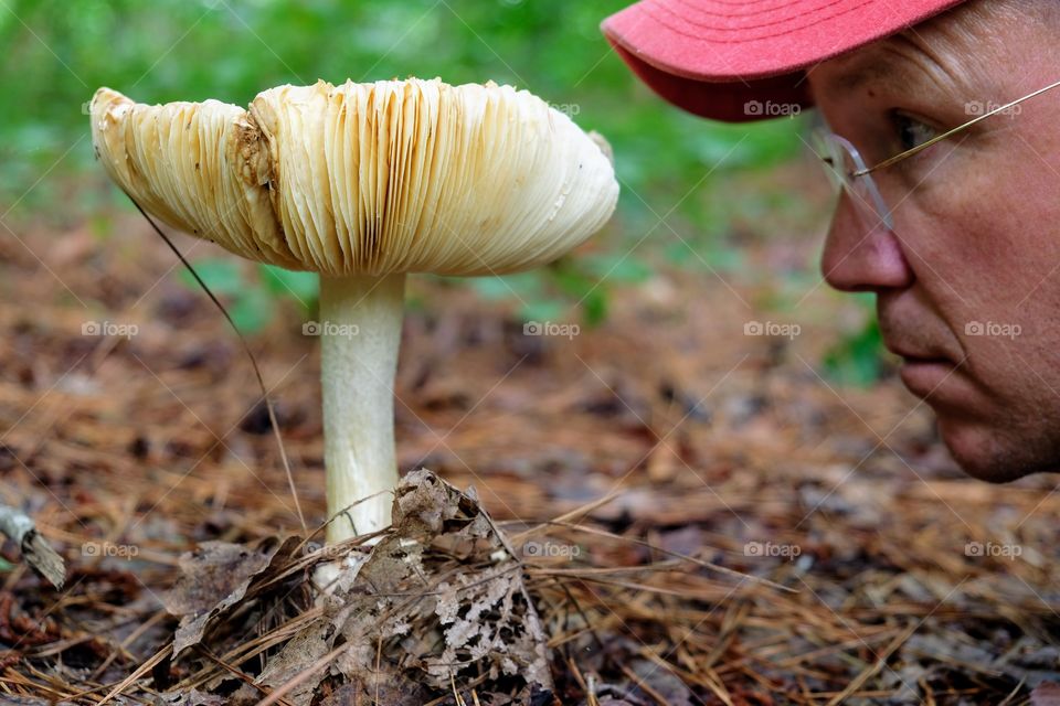 Naturalist’s hobby. Photograph and ID various species of organisms in your region and provide that information to local conservation organizations. Here is a naturalist using his head as a size reference for this HUGE Coker’s Amanita (Amanita cokeri)