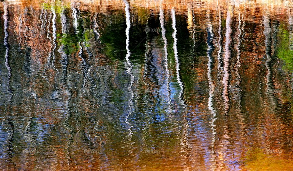 reflections on a lake