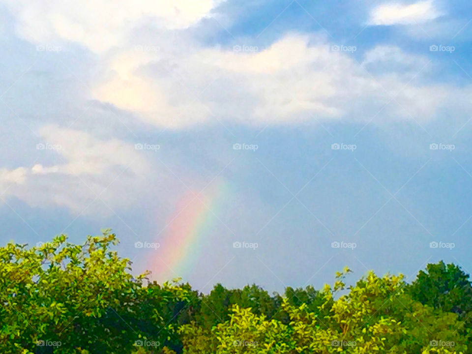 Nature, Rainbow, Landscape, Sky, Summer