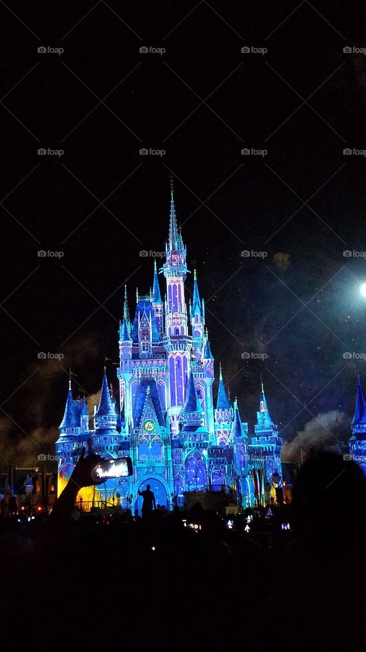 Disney Magic Kingdom Fireworks