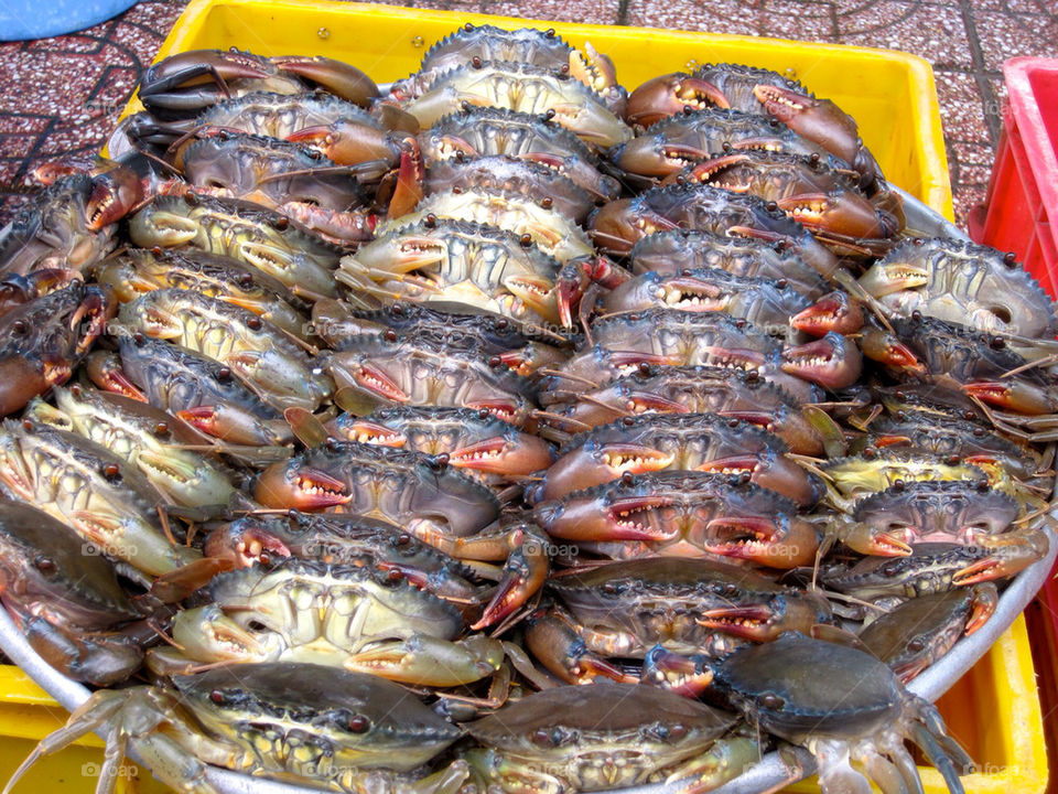 Tub of crab
