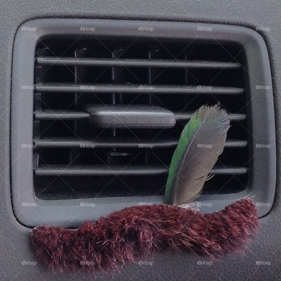 A fake mustache and a bird feather are both mementos in my car under an air vent.