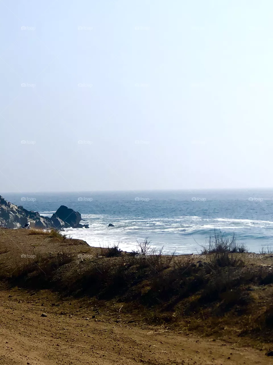 Shoreline 