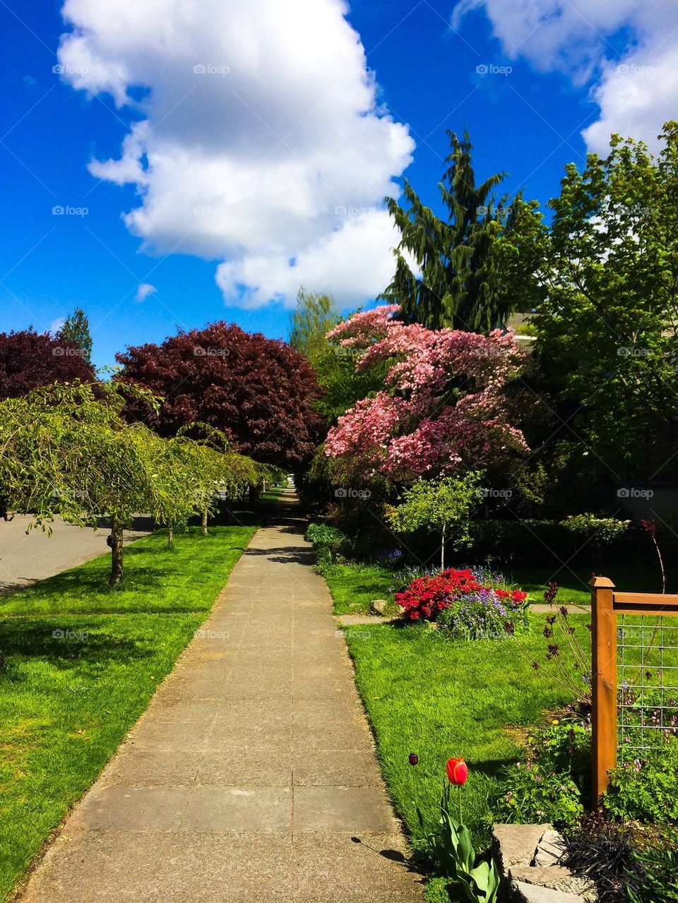 Seattle spring