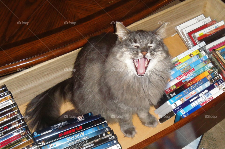 Boring Selection  whaaaa !