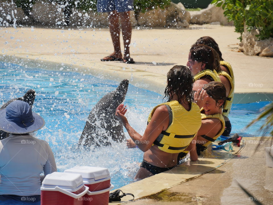 dancing with dolphins