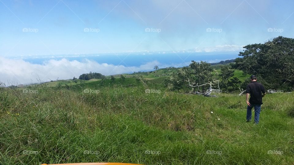 from the Mountains to the Sea