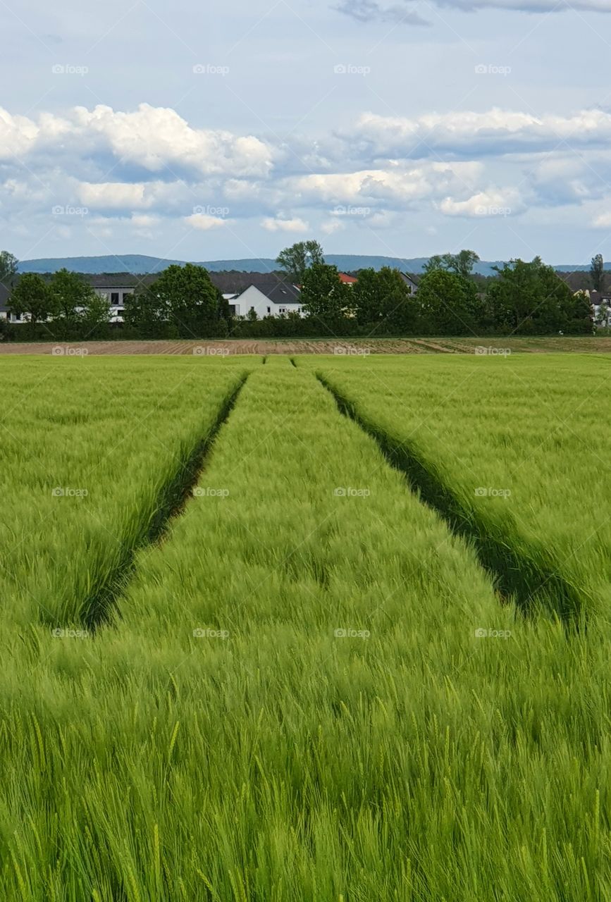 Landscape, Landschaft