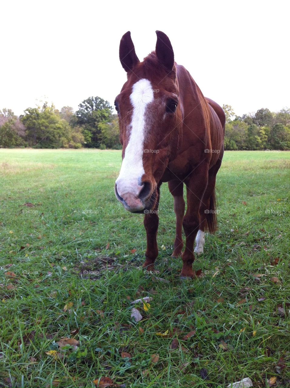 Outstanding in his field.