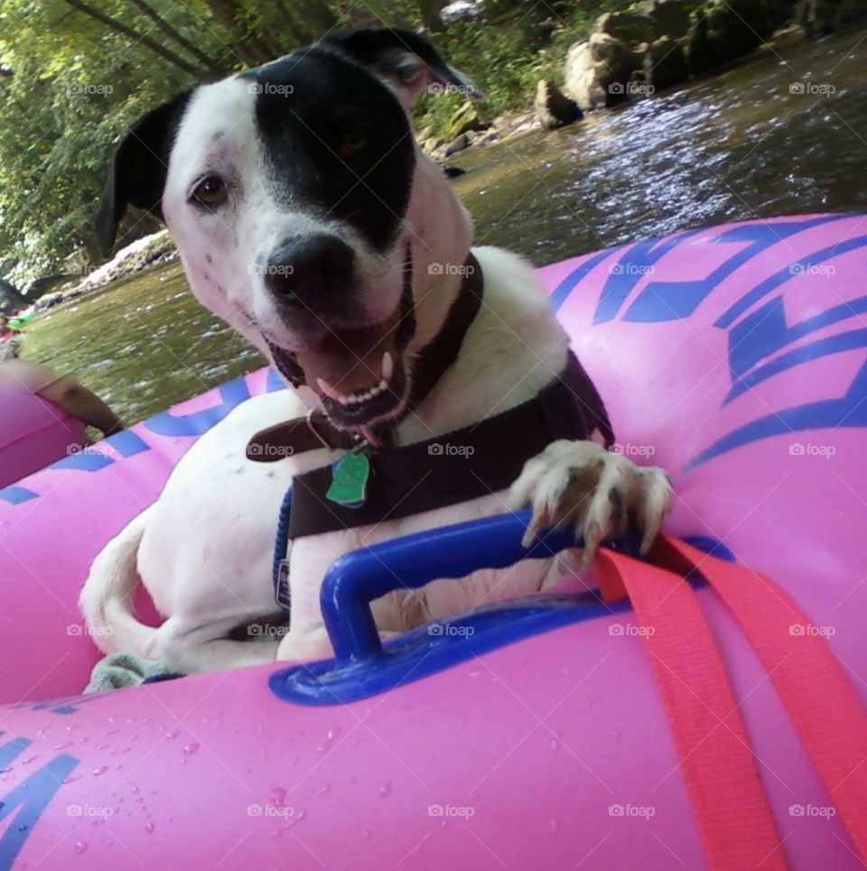 Doolie tubing  & having fun on the river