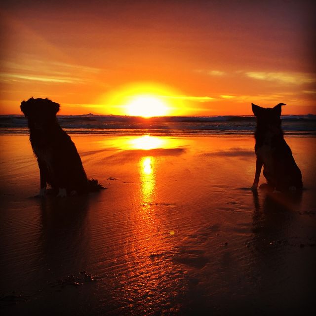 sunset