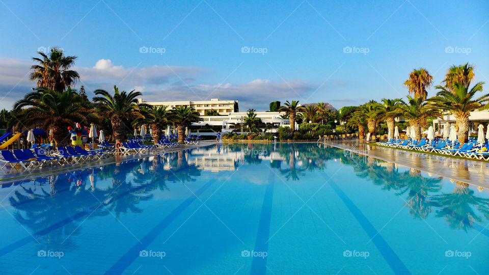 pool, palm trees, vacation