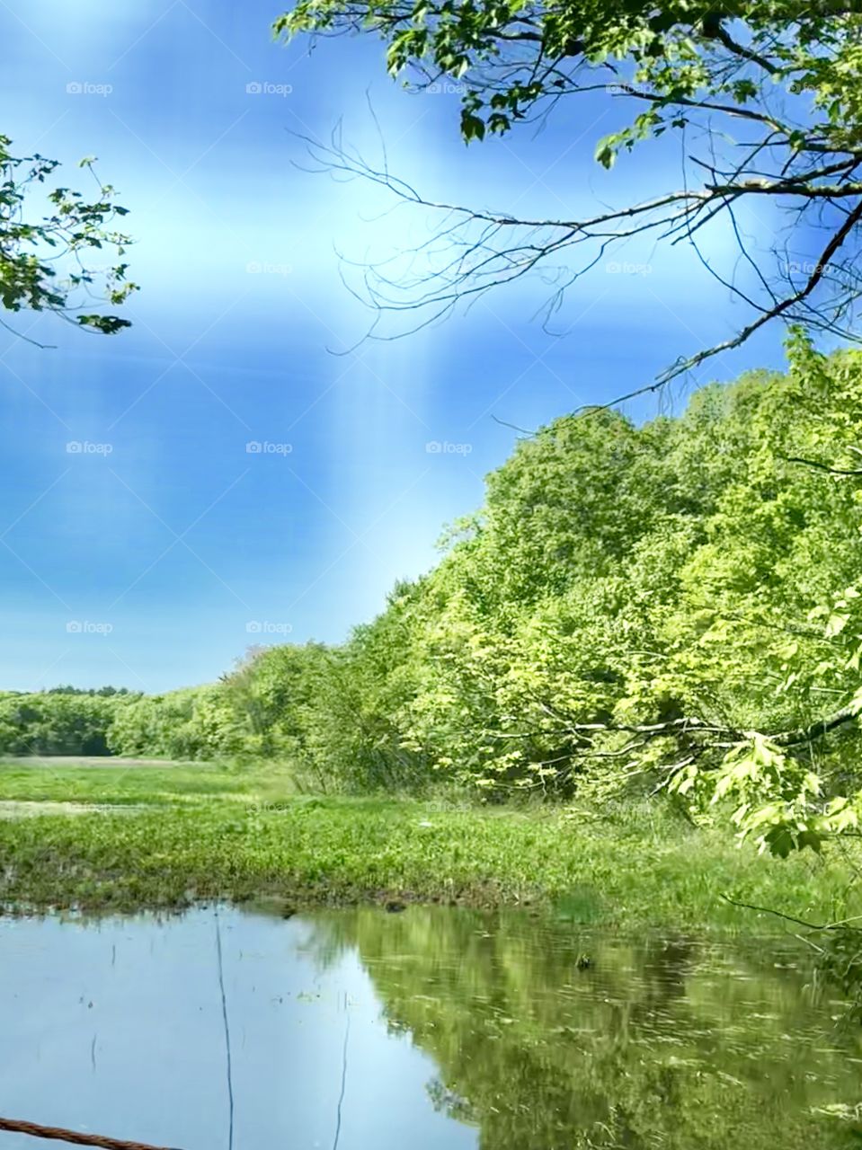 This nature scene offers a scenic view of a pond surrounded by lush greenery, with reflections of blue sky, white cloud & greenery shimmering on the still surface of the water.