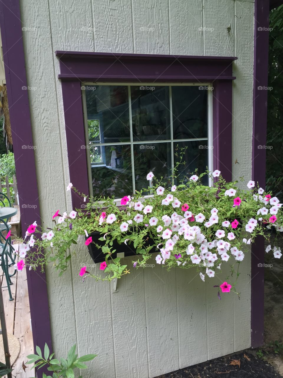 Window box