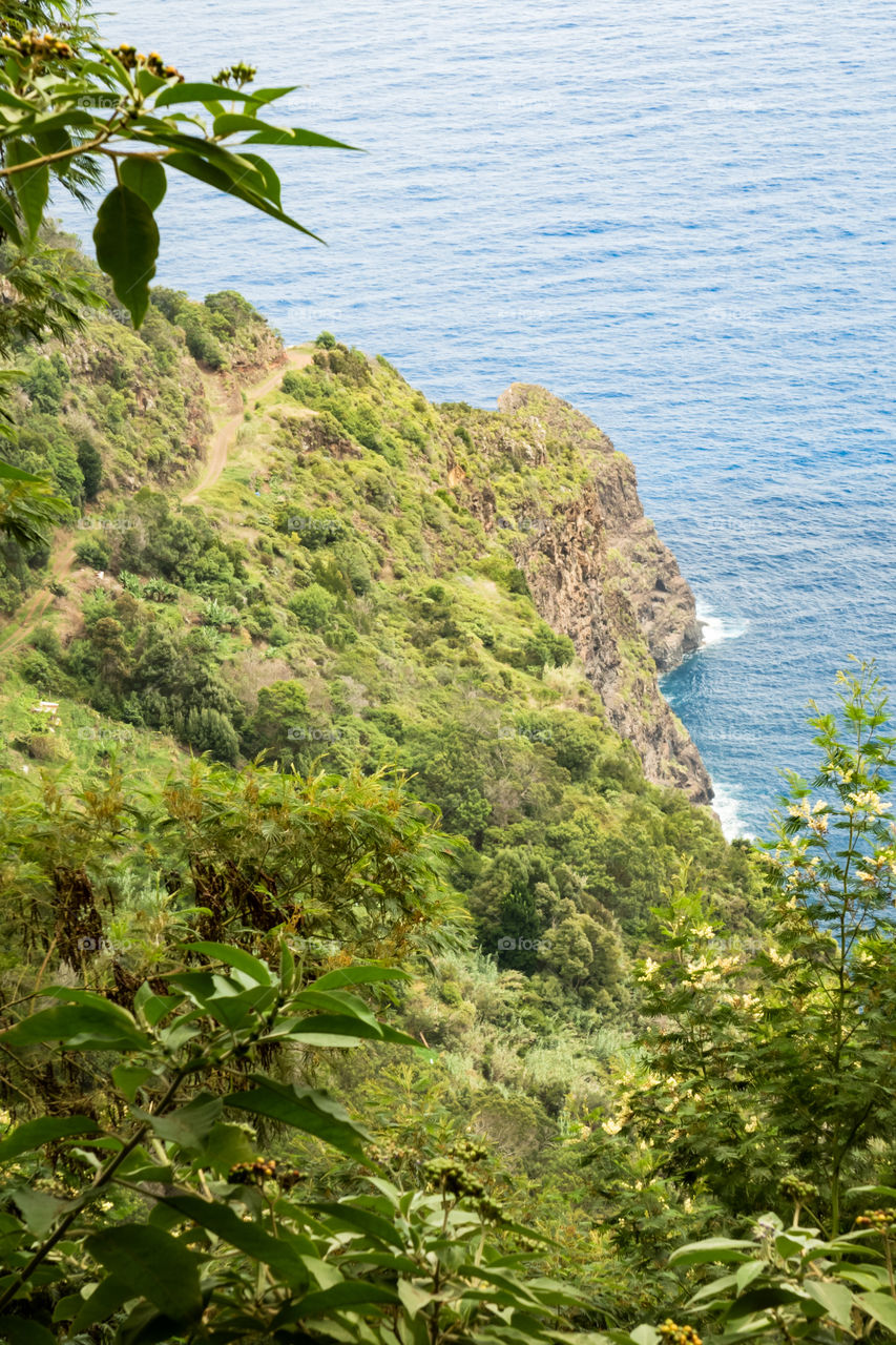 The green cliff in the ocean 