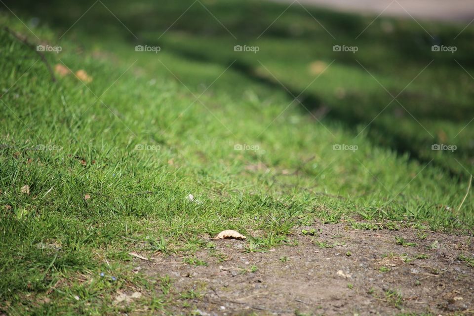 Just a little of nothing. 