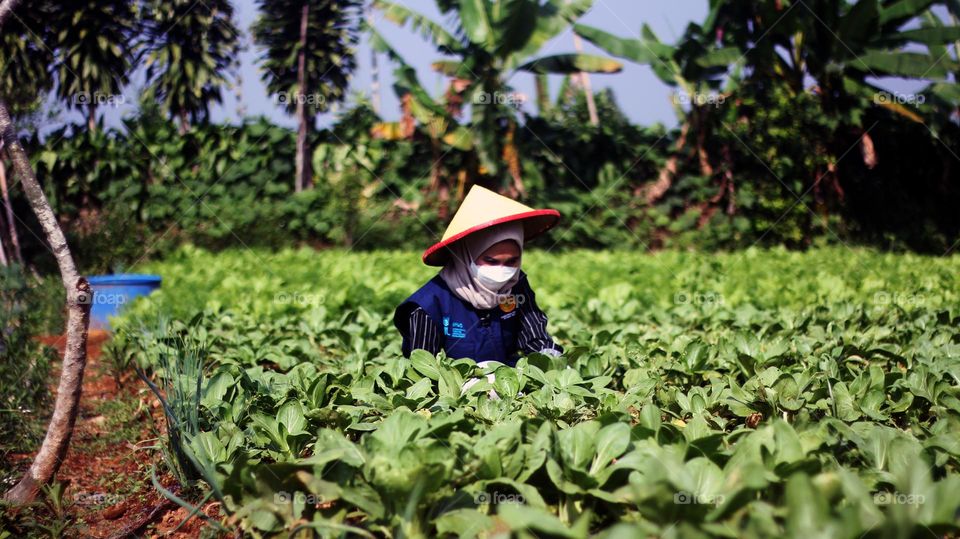 farmer's routine activities