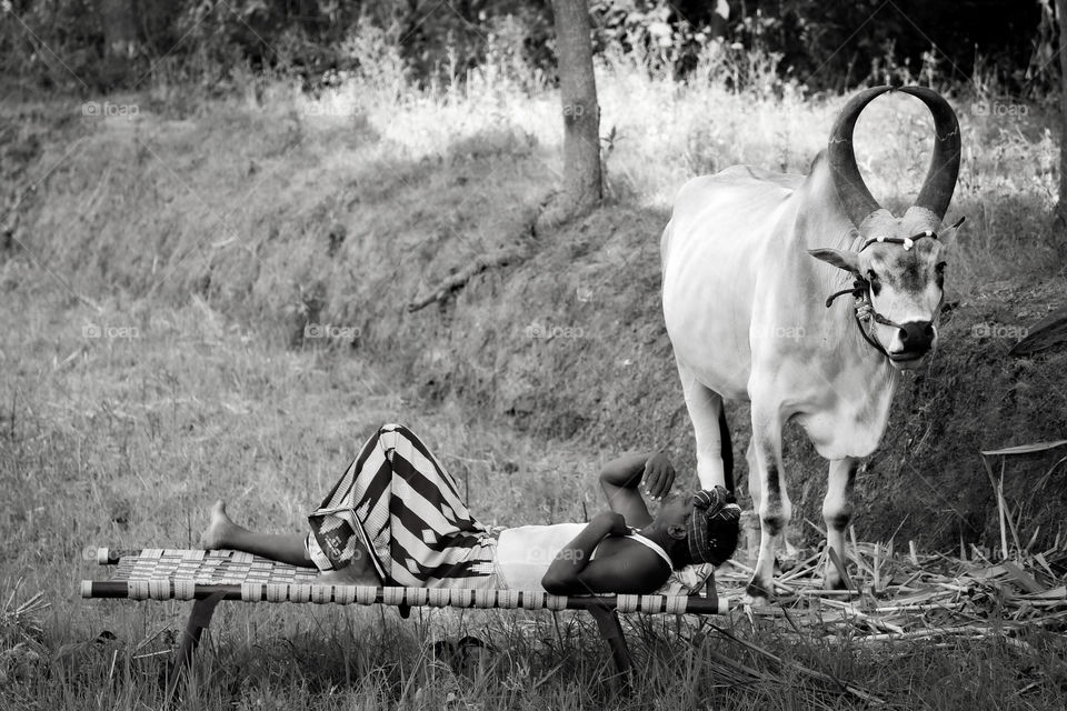 A story of a village farmer who is having a blessed life with nature...  We are all living like robos....  Earning money to eat.. eating to earn money..  Please think and change your life style loving nature #village life #love nature