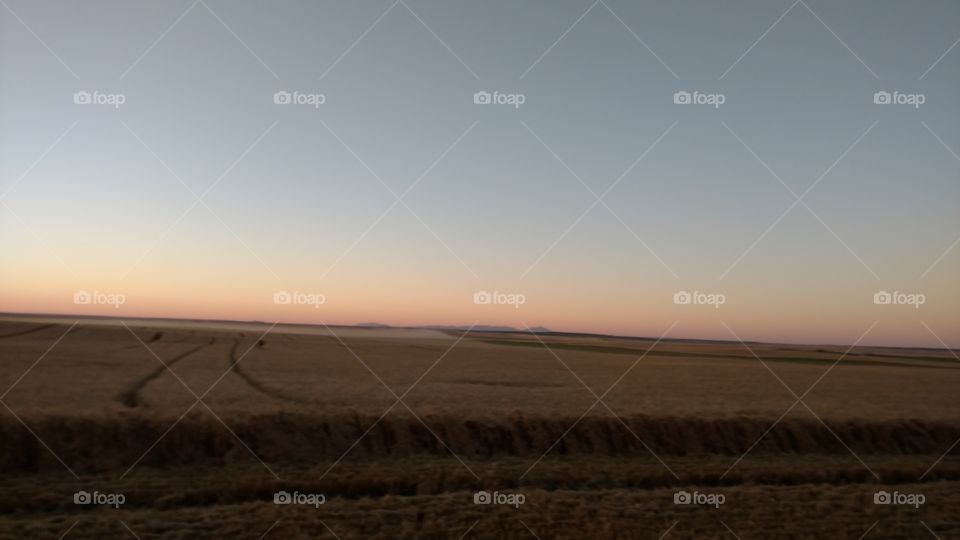 Landscape, Desert, Sunset, No Person, Agriculture