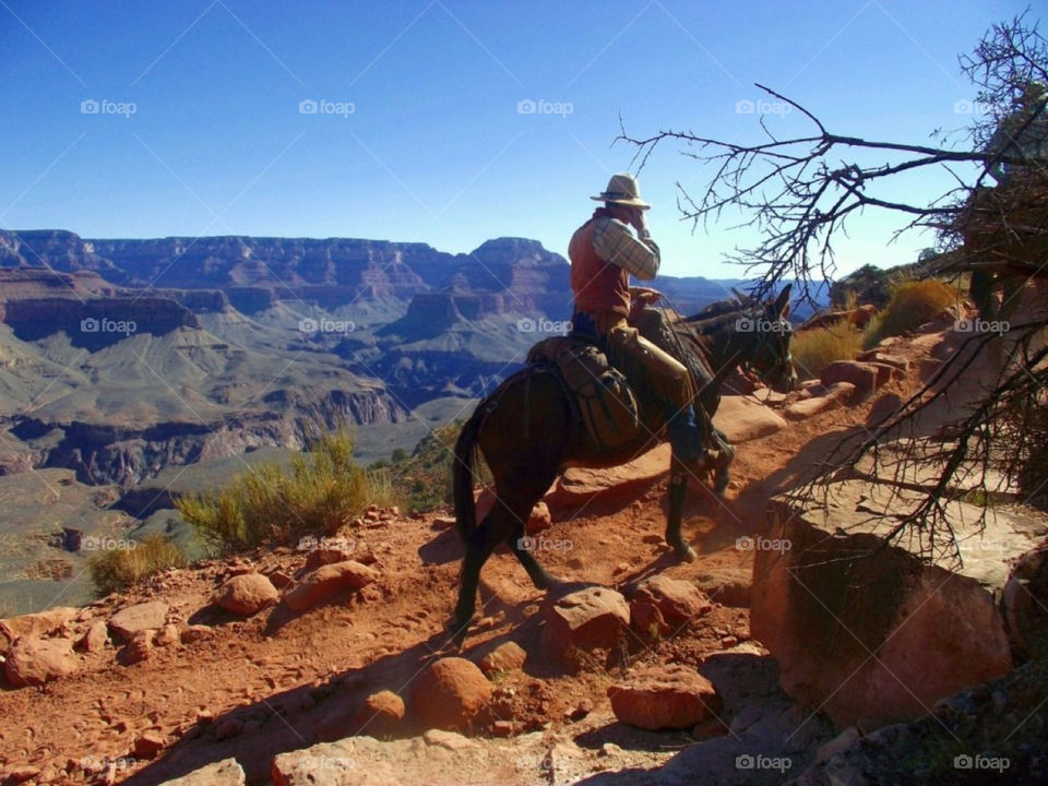 usa arizona horse cowboy by Balloo