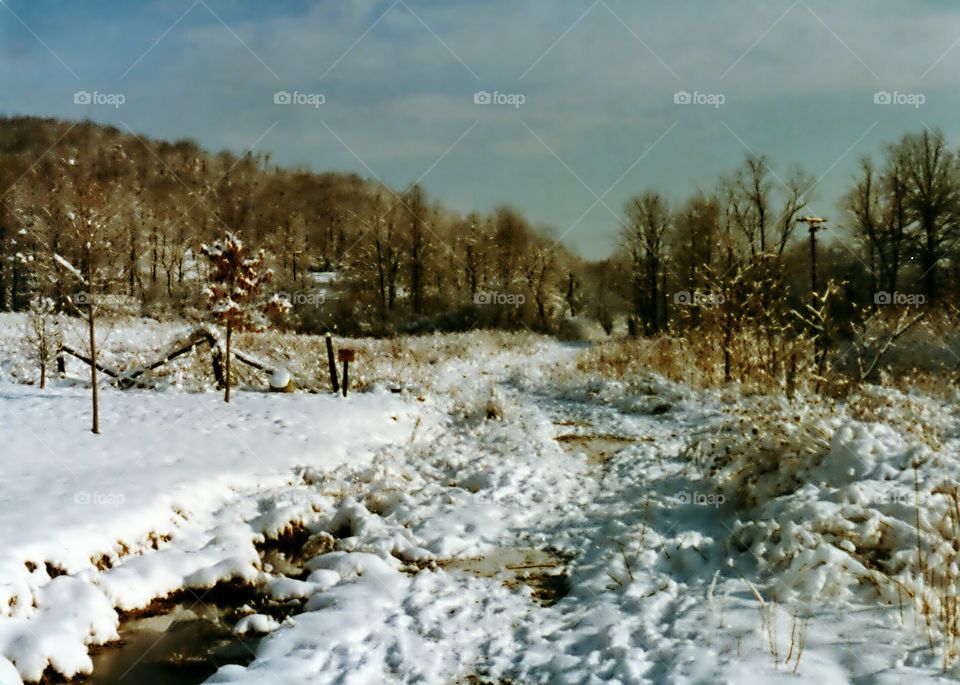 snowcovered field and stream. snowcovered  run and field in West Virginia