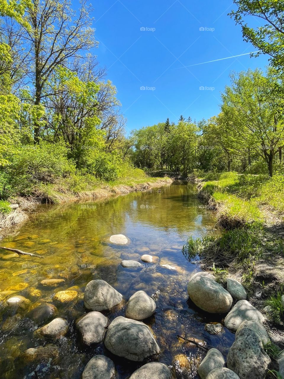 Peaceful creek 