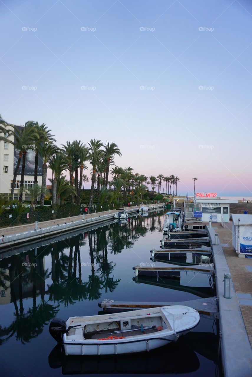 Boats#port#palms#reflect#sky#sunset