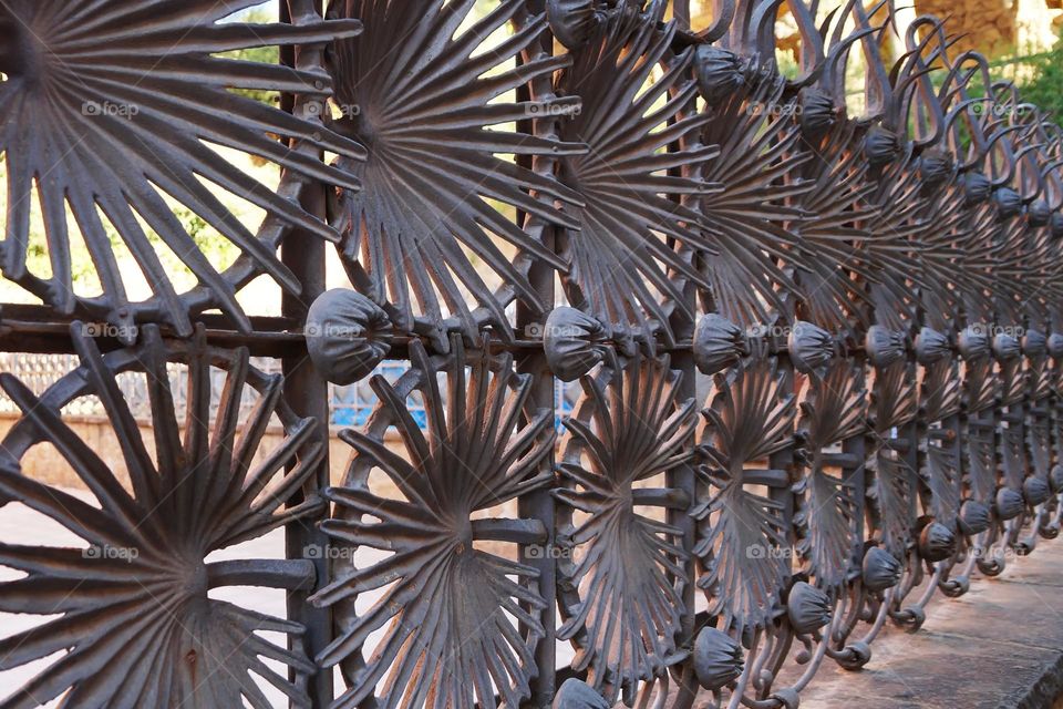 Forged fence in the form of palm leaves