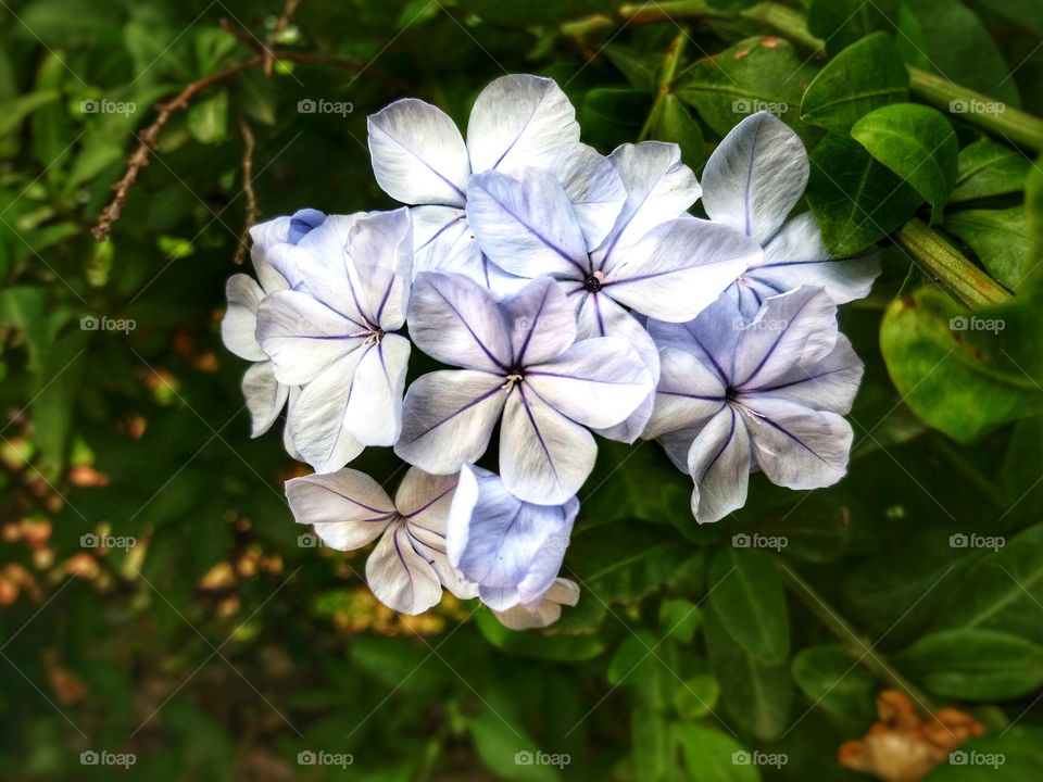 At the end of Spring....