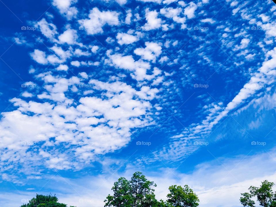 Beautifully shaped clouds in the sky.