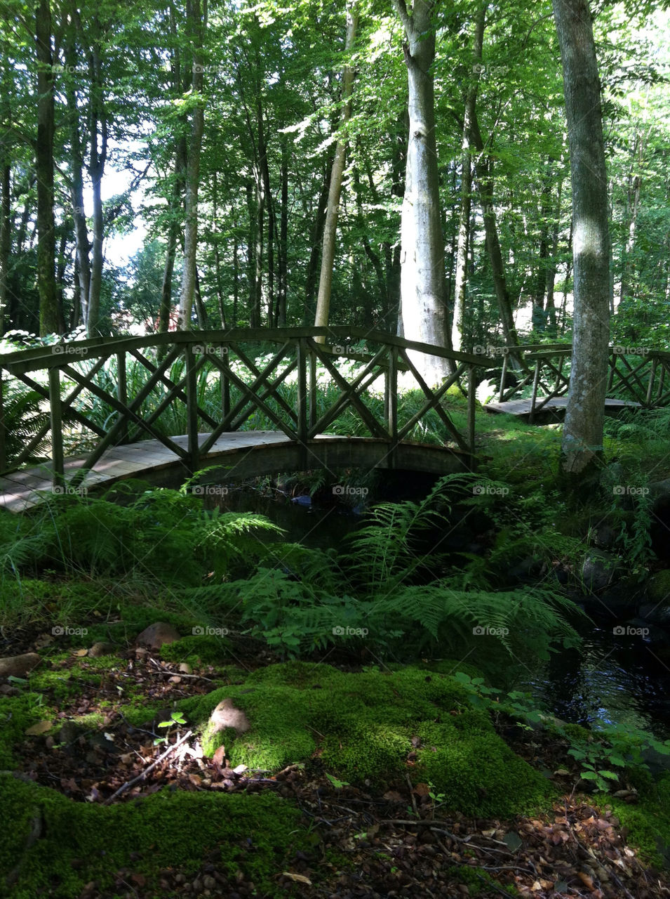 sweden skog bro harmoni by annace