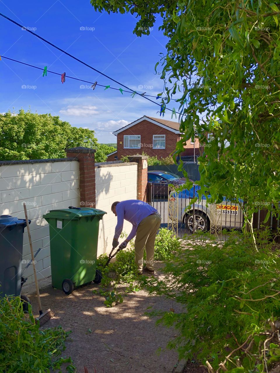 Trees have to be chopped back a bit’ they are blocking our sunlight 😂