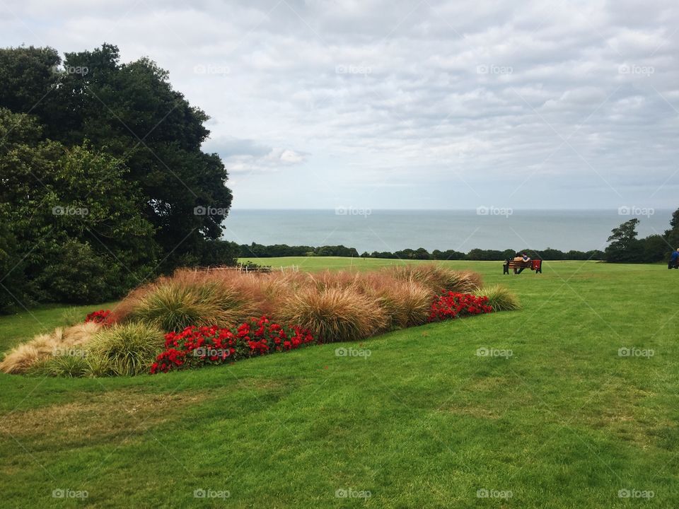 Landscape, Grass, No Person, Tree, Summer