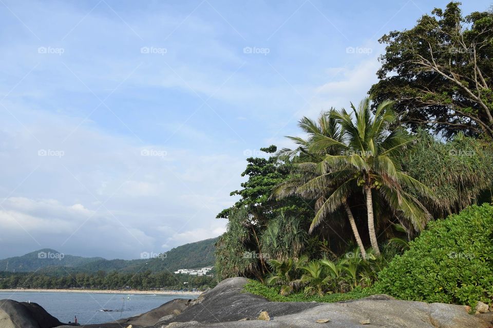 Tropical picture taken in phuket located in the south of Thailand 