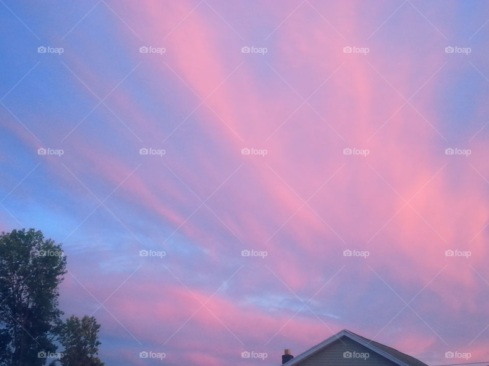 Almost Dusk. a brilliant blue an pink sky in view in my backyard before sunset