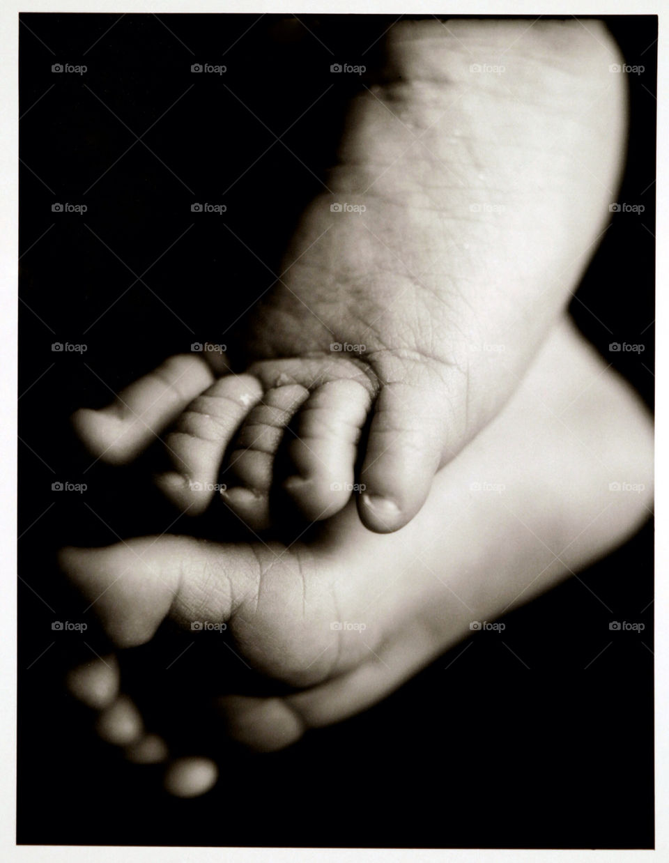 baby feet newborn by jbrinkler