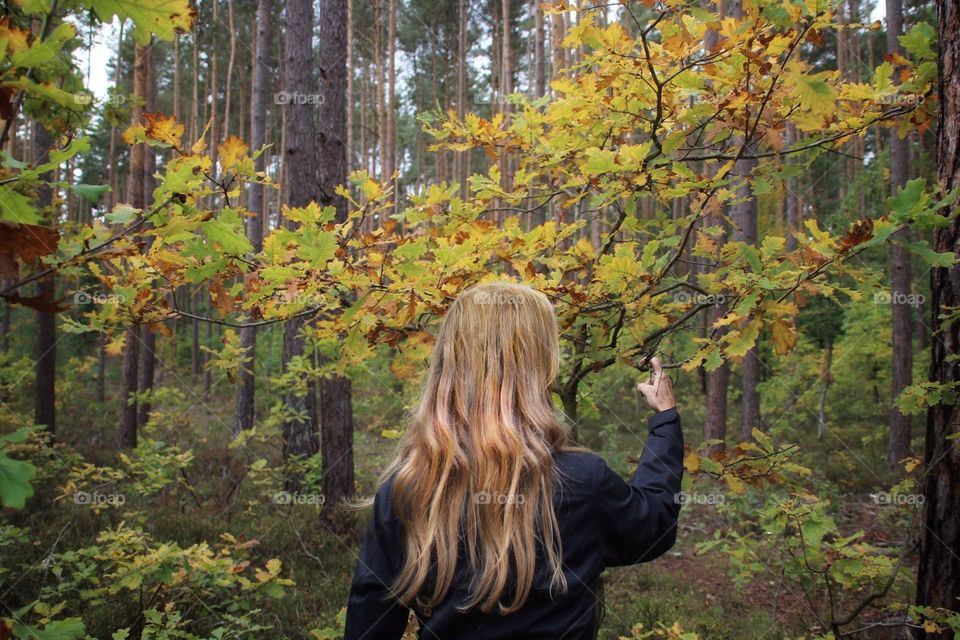 Rear view of a woman with long red hair standing in autumn forest 