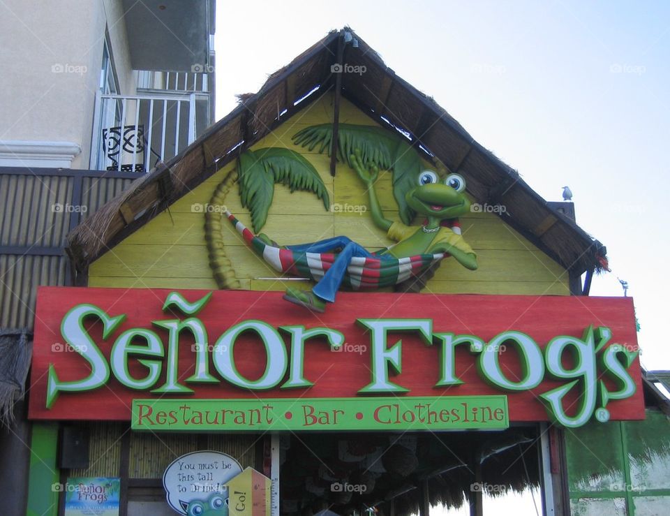 Senor Frogs at Nassau